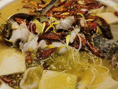 -荷花亭·湖北融合菜(十堰武商MALL店)