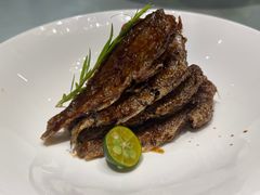 -沪碟·精菜坊(闵行店)