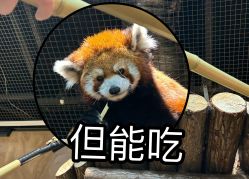 -Zoolung Zoolung动物主题公园(海信广场店)