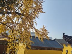 -宝通禅寺