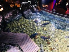 -暹罗海洋世界