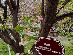 -西安青龙寺遗址景区