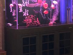 -宝鸡东道花鸟鱼虫市场(吉利花园商场店)