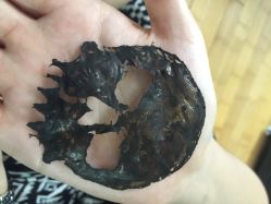 ALB岐刺青(三里屯店)-Black Tattoo Studio