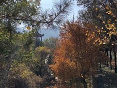 景点-百里山水画廊