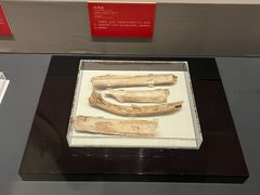 -北京大葆台遗址博物馆