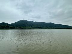 -风云岭森林公园