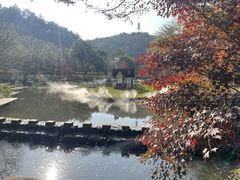 -田野绿世界