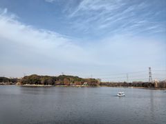 -昆山城市生态森林公园