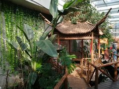 -上海大自然野生昆虫馆(东方明珠·爬宠昆虫探索中心)