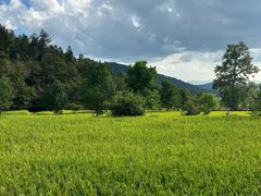 -塔川景区