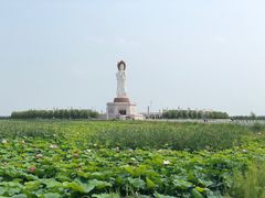 -呼兰河口湿地公园