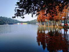 -西樵山风景名胜区-天湖公园