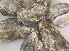 -渔民船说·北塘海鲜·天津菜·海肠捞饭(北塘古镇店)