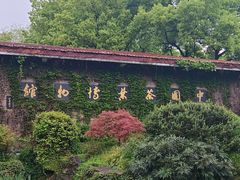-中国茶叶博物馆(双峰馆区)