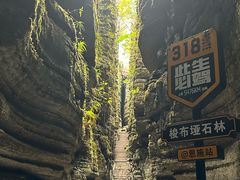 -梭布垭石林景区