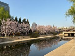 -海棠花溪(元大都城垣遗址公园)