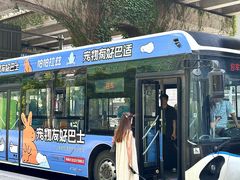 -帕帕拉兹宠物(亚洲旗舰店)