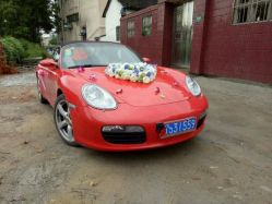 -蚂蚁婚车