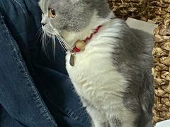 -KKV(南京新城市广场店)