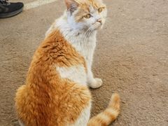 -东方时尚驾校摩托车考试场