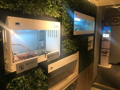 -打趸BTC·Breaktime cafe(北京路店)