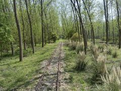 -合肥滨湖国家森林公园