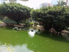 -九龙公园