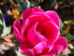 -无锡市市民中心