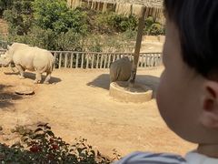 -泉州海丝野生动物世界