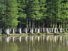 -艾溪湖湿地公园