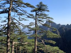 -黄山风景区