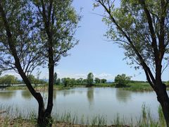 -野鸭湖国家湿地公园