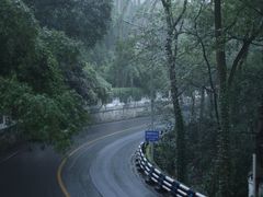 -南山植物园