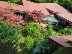 -中国茶叶博物馆(双峰馆区)
