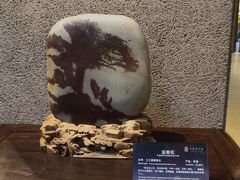 -中华赏石园