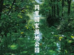-同里国家湿地公园