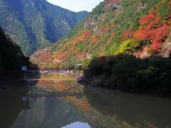 -秦岭风景区