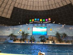-泉城欧乐堡海洋极地世界