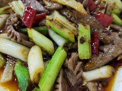 -天一沾水肥肠(科园一街店)