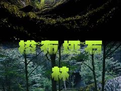 -梭布垭石林景区