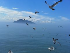 -海驴岛(荣成市)