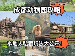 -成都动物园