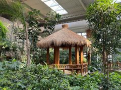 -南宫五洲植物乐园