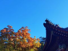 -香山公园