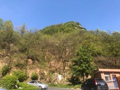 -秦岭风景区