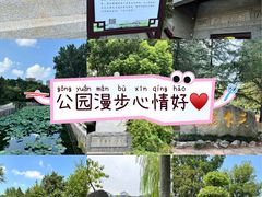 -水绘园