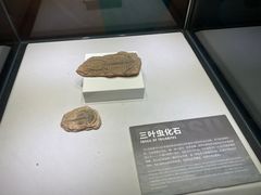-重庆欢乐海底世界