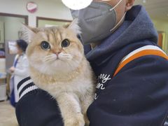 -美联众合动物医院·24h转诊中心