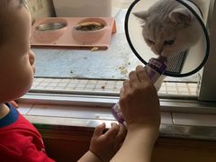 -瑞派康怡24h宠物医院·犬猫医疗中心·微创绝育(瑞景分院)